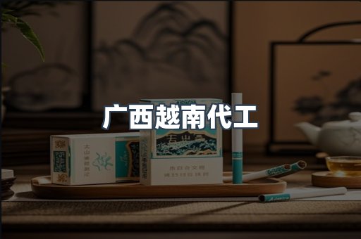 广西越南代工